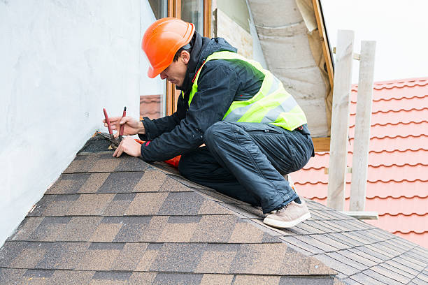 Best Roof Gutter Cleaning  in Palmyra, IN